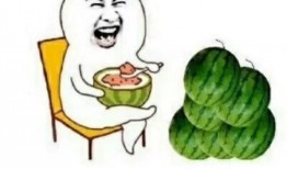 关于娱乐圈吃瓜